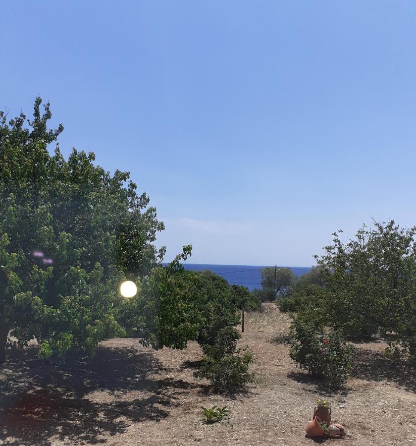 Masticha Village Apartments & Studios Monolia 外观 照片